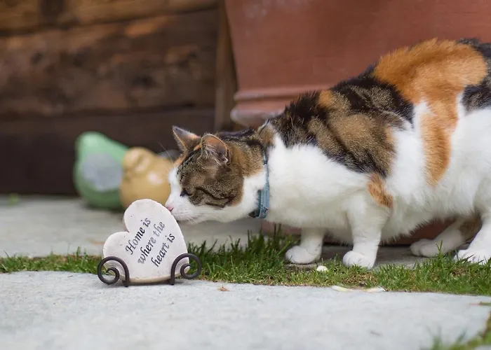 Romantica فندق زيرمات