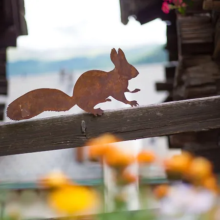 酒店 浪漫酒店 采尔马特