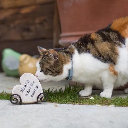 Romantica Otel Zermatt